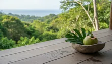 Unwind, Recharge, Repeat: Your Insider's Guide to Jaco's Best Wellness Retreats