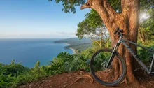 Jaco's Wild Side: Conquering the Best Mountain Biking Trails in Costa Rica's Adventure Hub