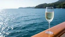 Jaco's High Seas: Your Definitive Guide to Luxury Yacht Charters