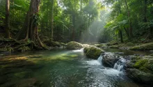 Beyond the Brochure: Unearthing Jaco's Best Off-Grid & Eco-Adventure Tours (The Real Costa Rica Awaits)