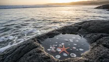 Jaco Family Fun: Surf Lessons, Tide Pools, & Pura Vida Day Trips for All Ages