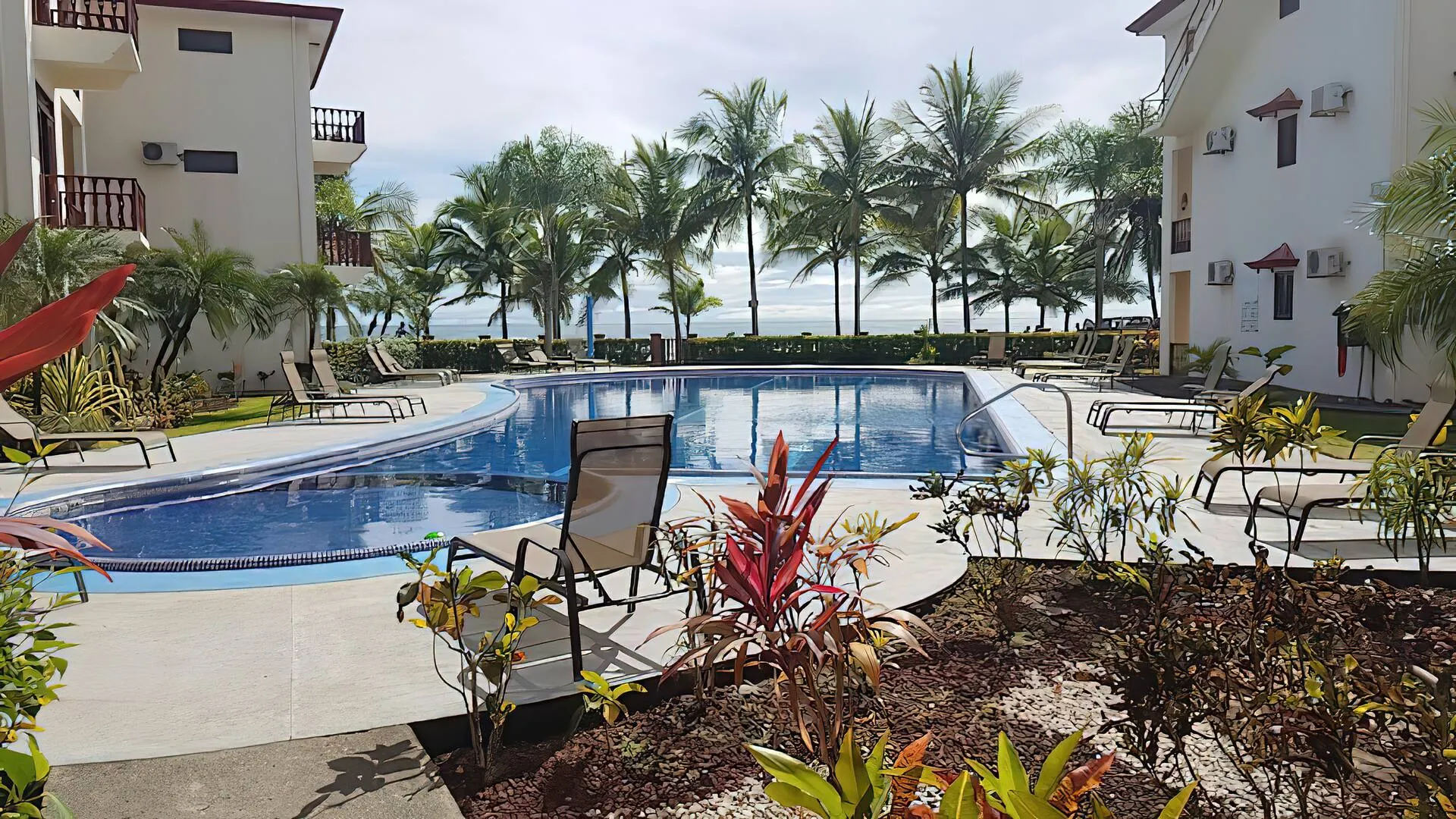 Shared pool with palm trees and ocean visible beyond.